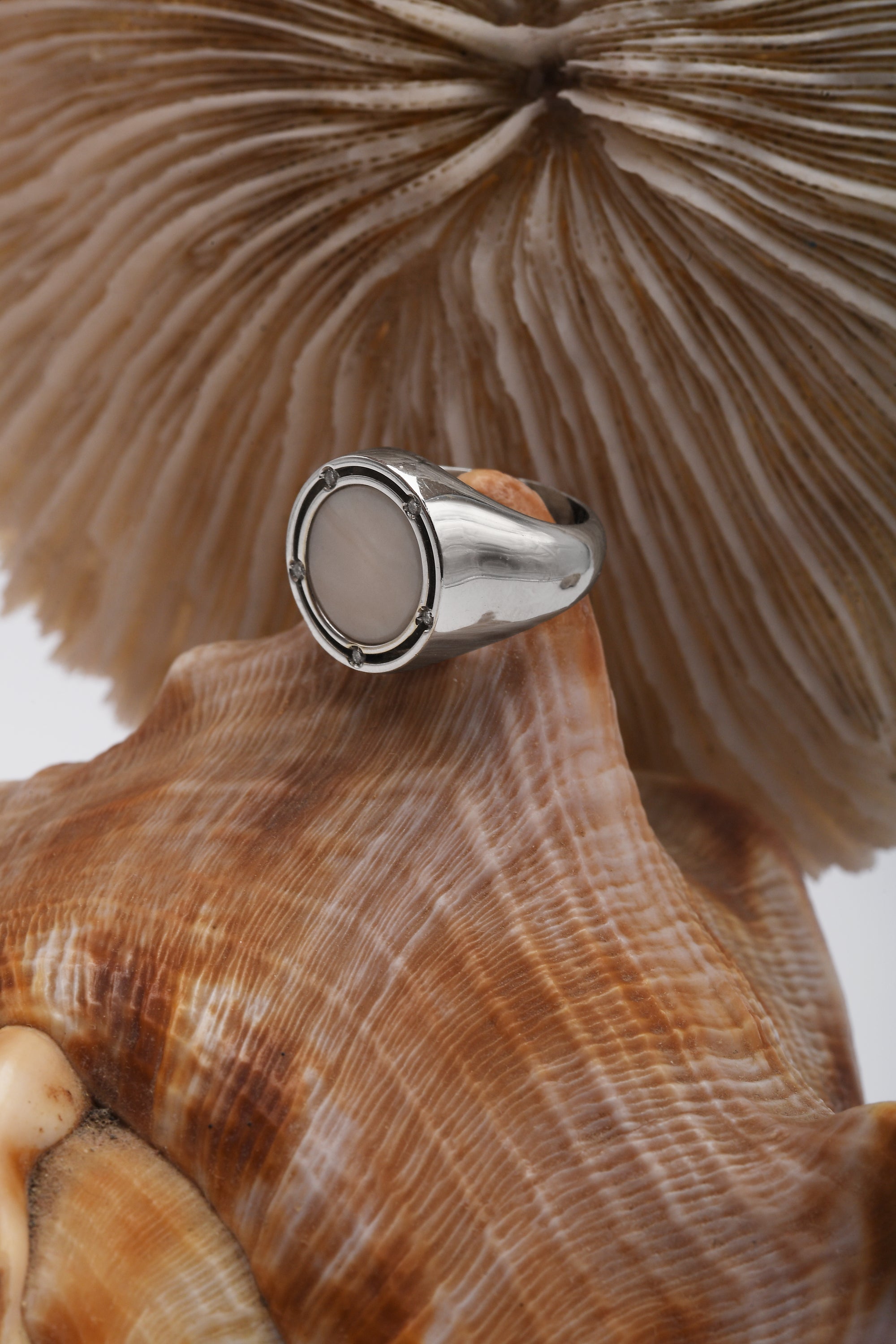 Anello Damiani in oro bianco collezione D.Side  con corallo rosa e diamanti